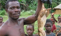 最新恐怖吃瓜爆料新闻,最新恐怖吃瓜爆料，揭秘幕后真相！